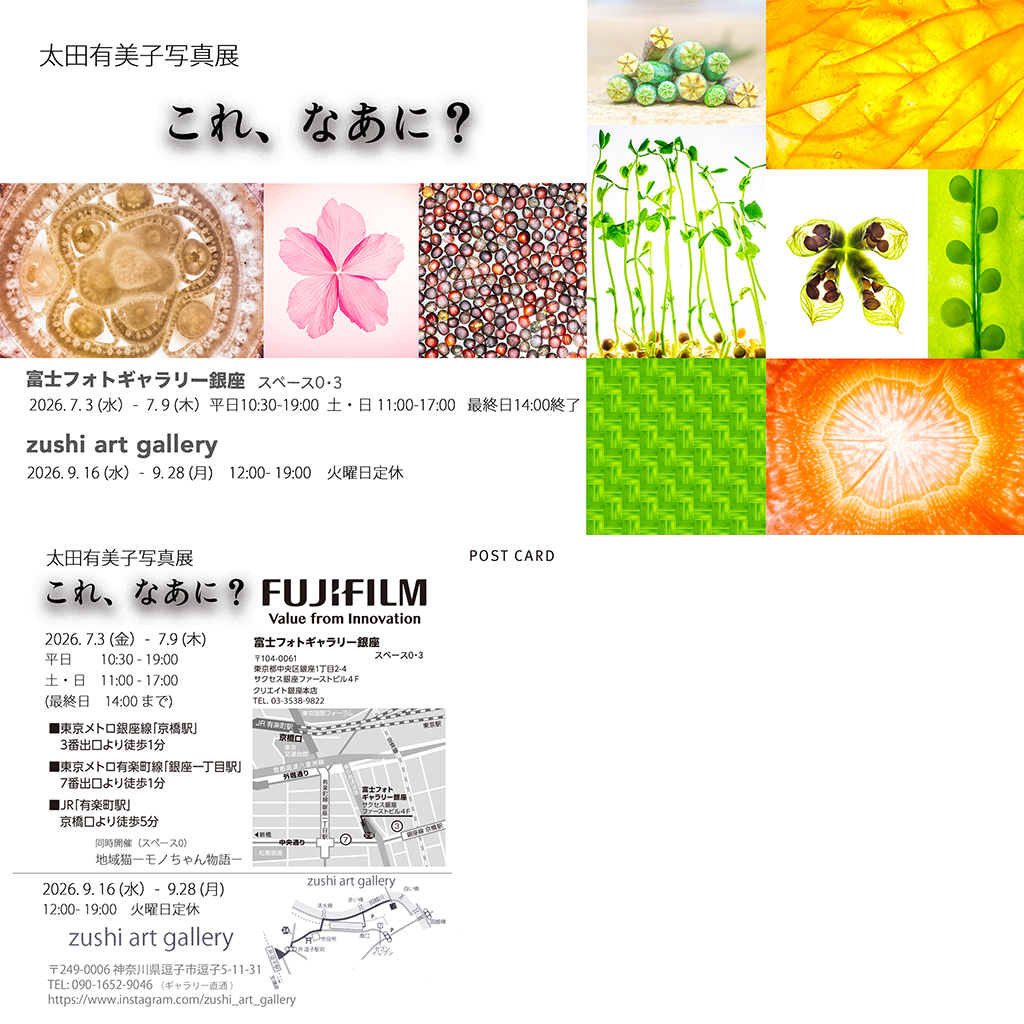 太田有美子写真展「これ、なあに」